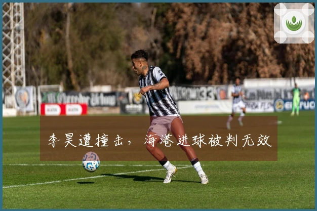 李昊遭撞击，海港进球被判无效