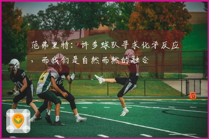 范弗里特：许多球队寻求化学反应，而我们是自然而然的融合