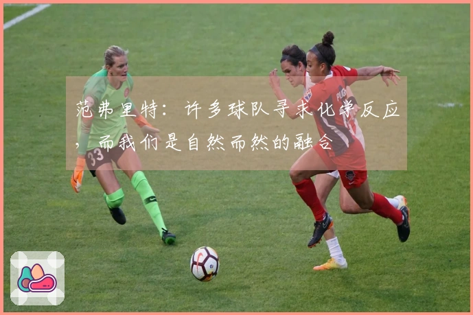 范弗里特：许多球队寻求化学反应，而我们是自然而然的融合